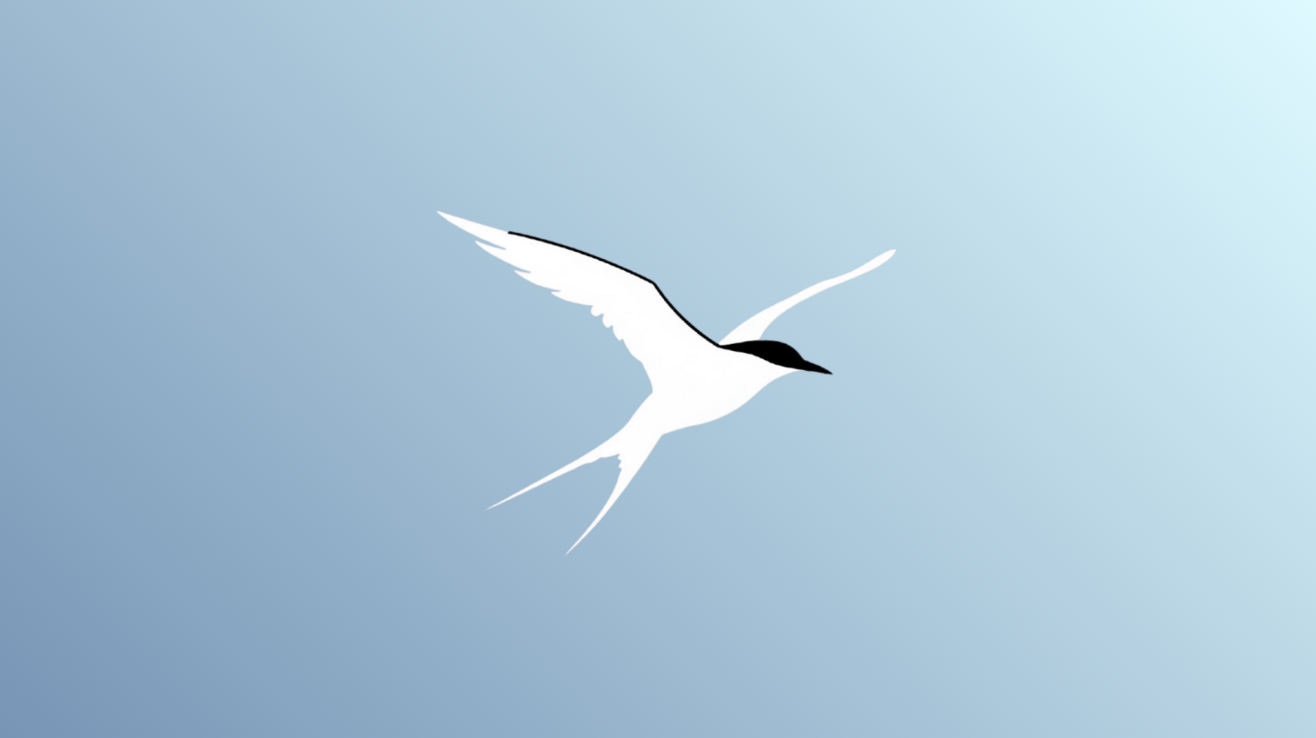 Sponsable logo with Arctic Tern